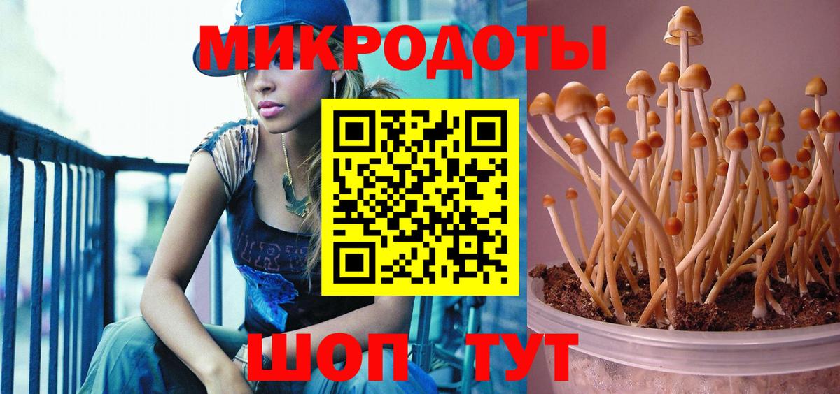 Псилоцибиновые грибы Psilocybine cubensis  Псилоцибиновые грибы ЛСД  Вход с VPN  Гагарин 