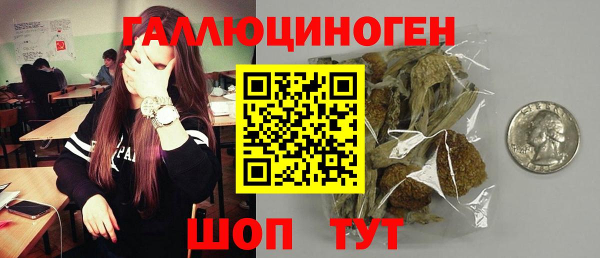 Галлюциногенные грибы GOLDEN TEACHER Гагарин